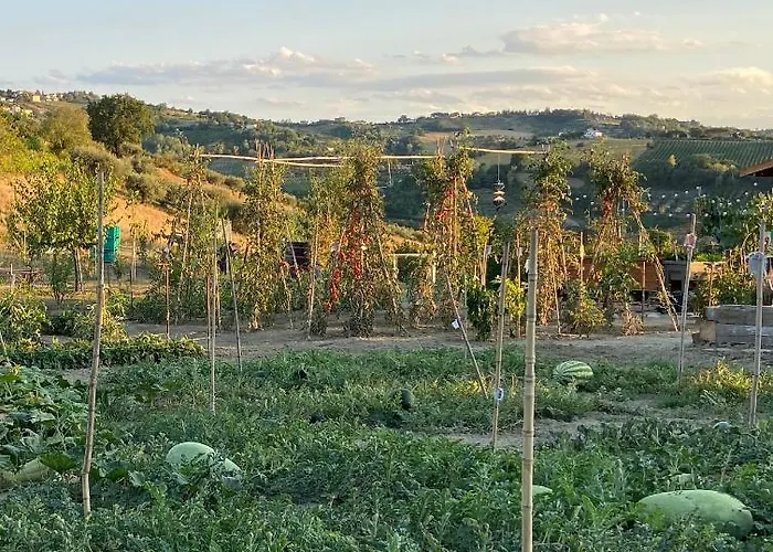 Oda ve Kahvaltı Poderino - A Place To Feel 4*