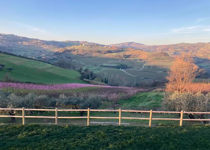 Poderino - A Place To Feel Oda ve Kahvaltı 4*