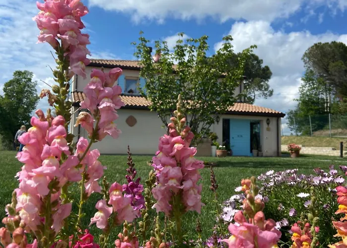 Poderino - A Place To Feel Cento (Forli-Cesena)