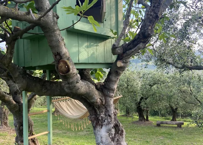 Poderino - A Place To Feel Cento (Forli-Cesena)