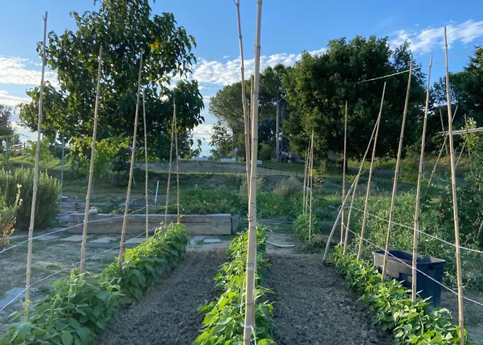 Poderino - A Place To Feel Oda ve Kahvaltı 4*