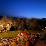 Poderino - A Place To Feel 4*