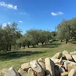 Poderino - A Place To Feel