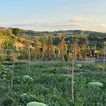 Alojamento de Acomodação e Pequeno-almoço Poderino - A Place To Feel 4*