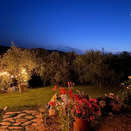 Poderino - A Place To Feel 4*