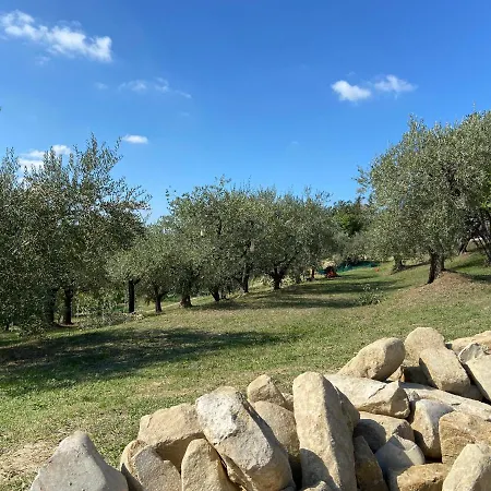 Poderino - A Place To Feel