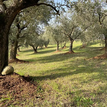 Poderino - A Place To Feel Alojamento de Acomodação e Pequeno-almoço Cento (Forli-Cesena)