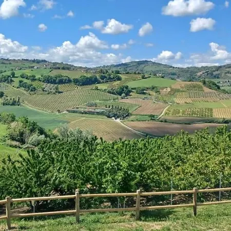 Poderino - A Place To Feel 4*