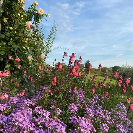 Poderino - A Place To Feel 4* Cento (Forli-Cesena)