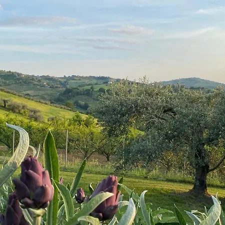 Bed & Breakfast Poderino - A Place To Feel