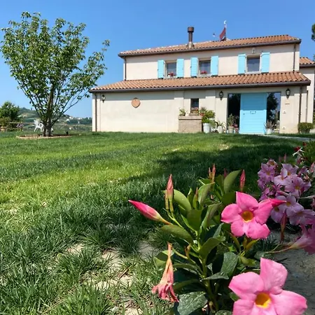 Poderino - A Place To Feel 4*