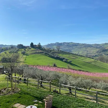 Poderino - A Place To Feel * Cento (Forli-Cesena)