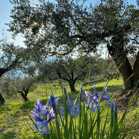 Poderino - A Place To Feel 4*