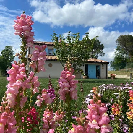 Poderino - A Place To Feel Cento (Forli-Cesena)