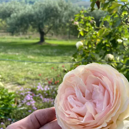 Bed & Breakfast Poderino - A Place To Feel