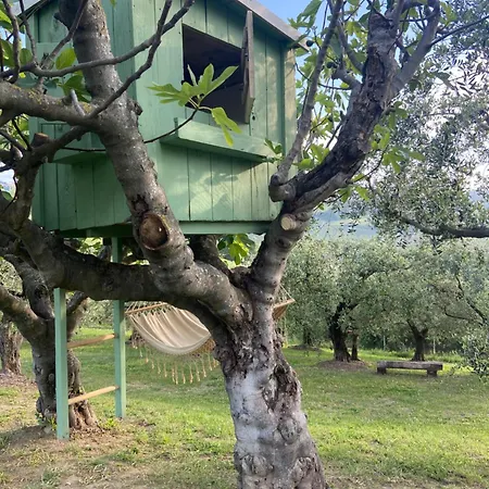 Poderino - A Place To Feel Cento (Forli-Cesena)