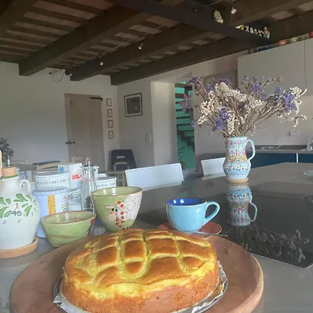 Poderino - A Place To Feel Cento (Forli-Cesena)