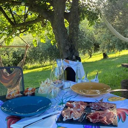 Poderino - A Place To Feel Bed & Breakfast