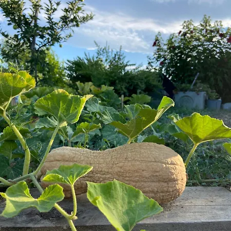 Alojamento de Acomodação e Pequeno-almoço Poderino - A Place To Feel 4*