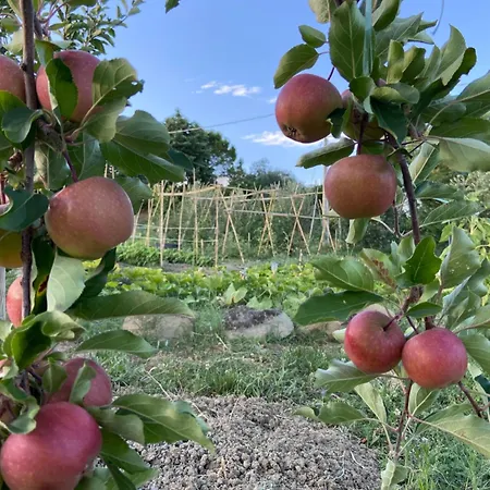 Alojamento de Acomodação e Pequeno-almoço Poderino - A Place To Feel Cento (Forli-Cesena)