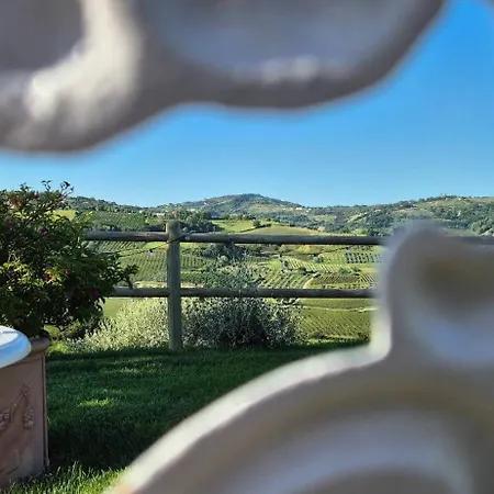 Poderino - A Place To Feel 4*