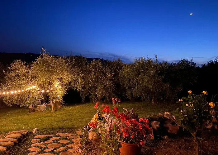 Poderino - A Place To Feel 4*