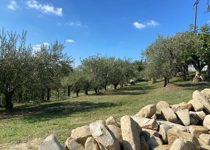 Poderino - A Place To Feel