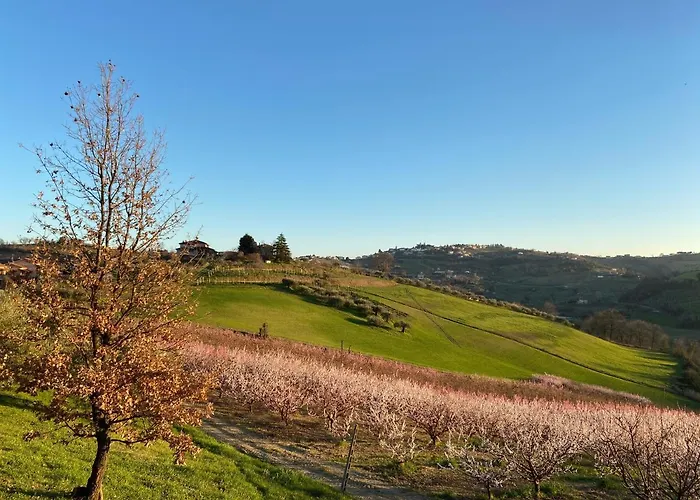 Bed & Breakfast Poderino - A Place To Feel Cento (Forli-Cesena)