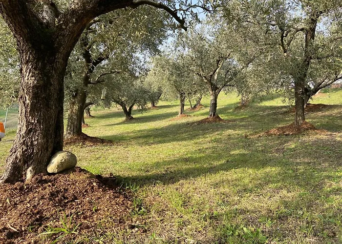 Poderino - A Place To Feel Bed & Breakfast Cento (Forli-Cesena)