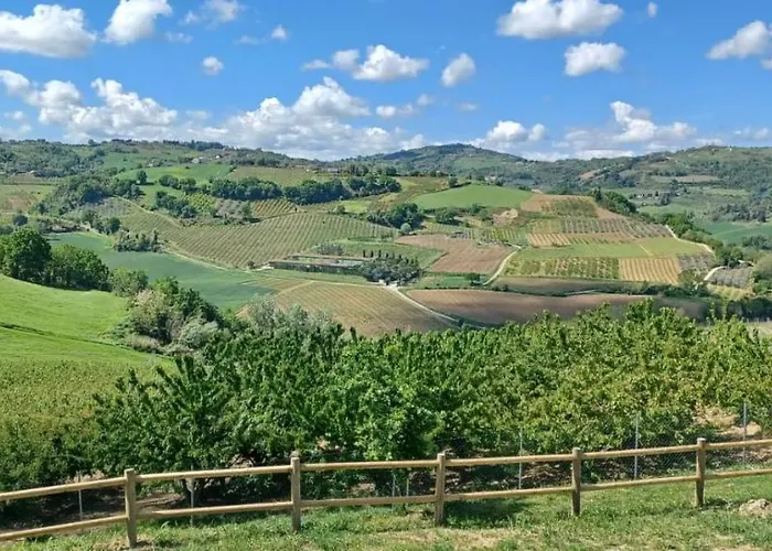 Poderino - A Place To Feel 4*