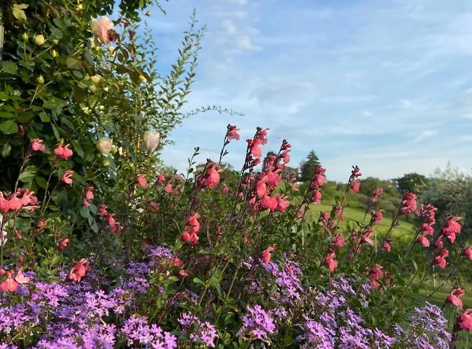 Poderino - A Place To Feel 4* Cento (Forli-Cesena)