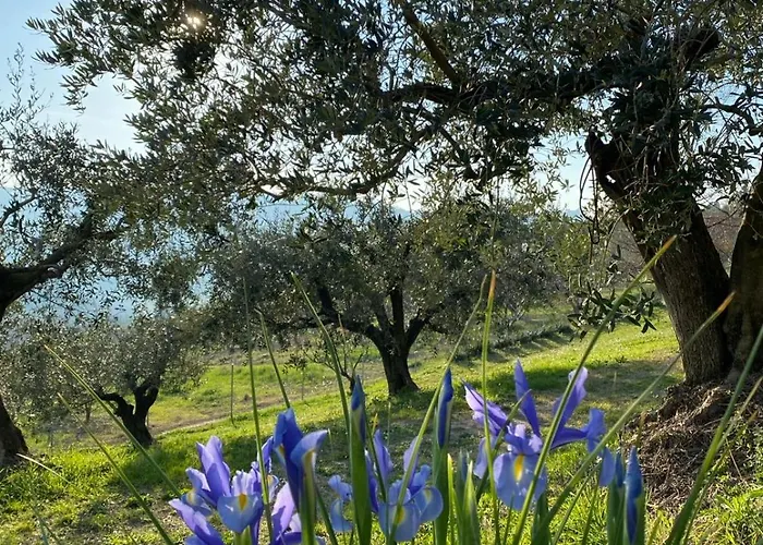 Poderino - A Place To Feel 4*