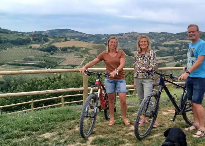 Poderino - A Place To Feel 4*