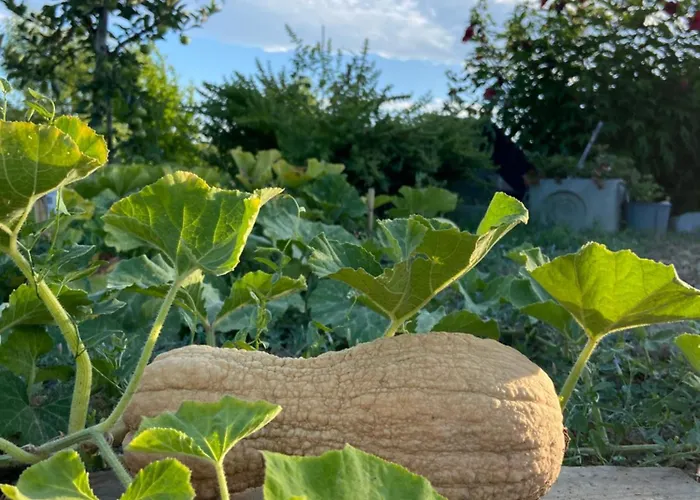 فندق مبيت وإفطار Poderino - A Place To Feel 4*