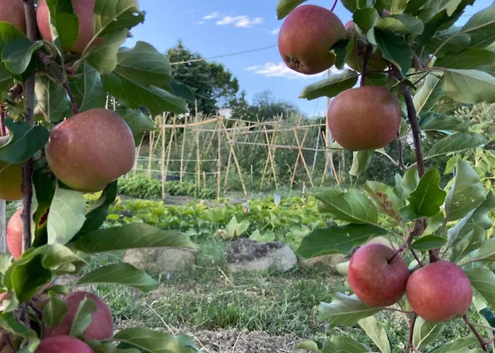 فندق مبيت وإفطار Poderino - A Place To Feel Cento (Forli-Cesena)