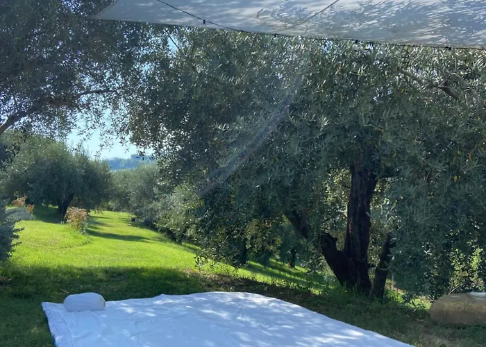 Poderino - A Place To Feel 4*